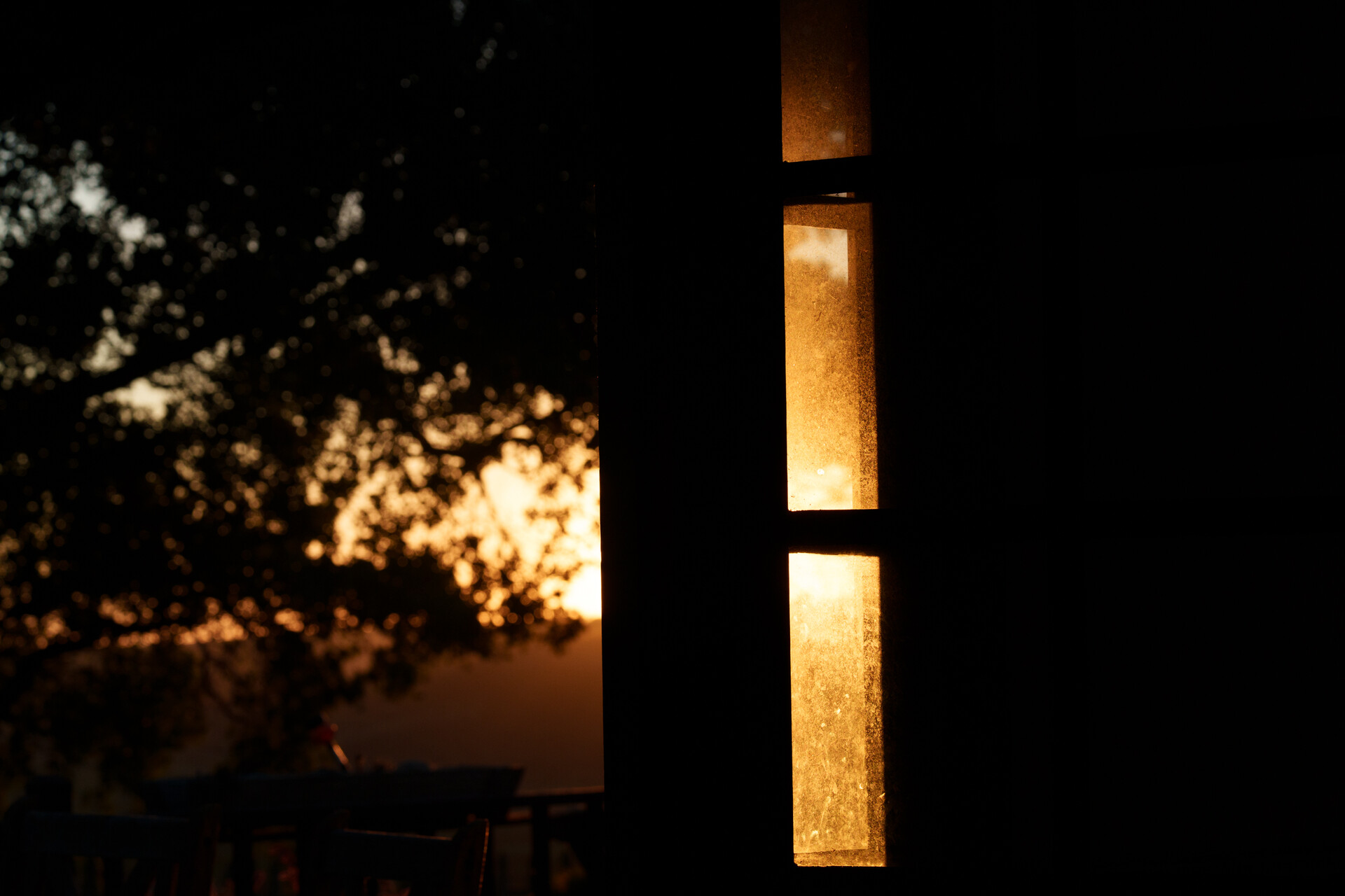 Sunset light through narrow window panes, tree silhouettes in background